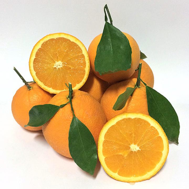 Naranjas Naturales