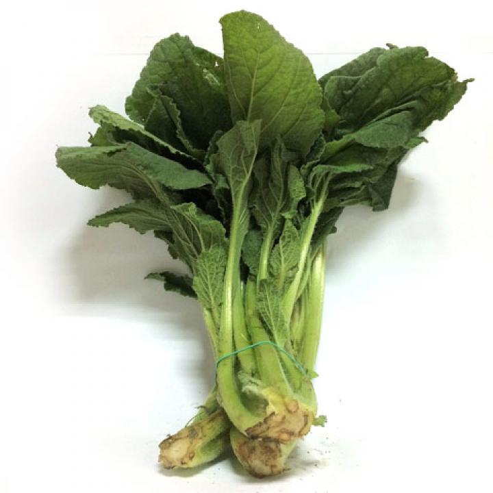 Borraja