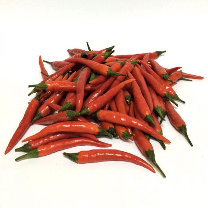 Pimiento Chile Rojo