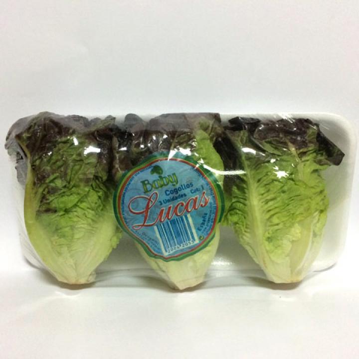 Lechuga Cogollos Rojos