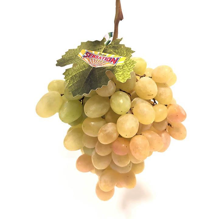 Uva Moscatel Nacional