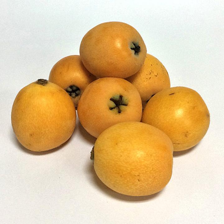 Nísperos