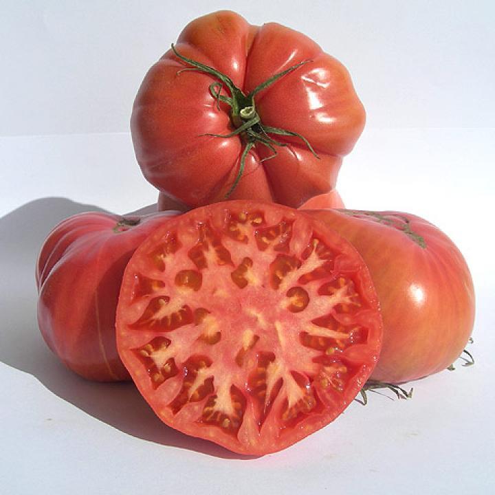 Tomate Rosado de Barbastro